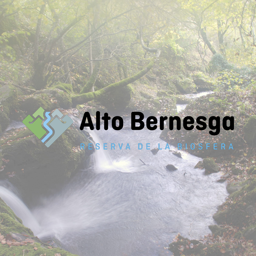 Alto Bernesga - Casa Millar